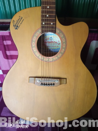 Signature guitar